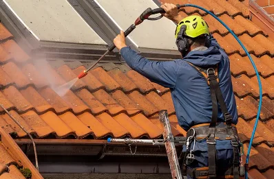 Démoussage et hydrofuge de toiture à Gémozac